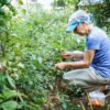 Gardening for Wellness The Latest Trends in Urban Farming and Green Spaces